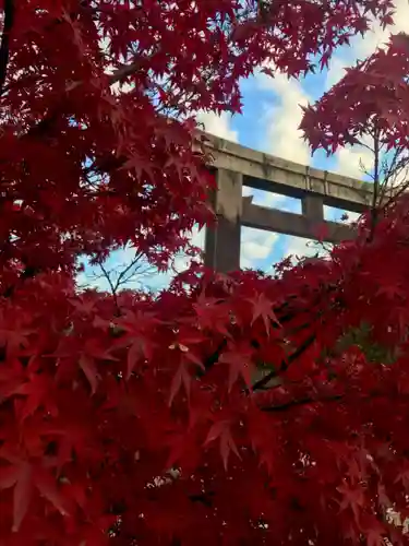 豊國神社の鳥居