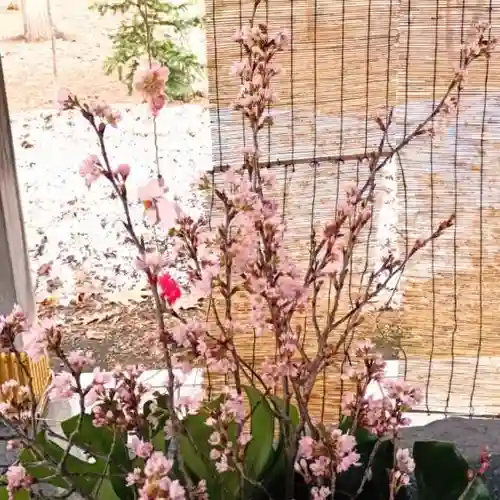 彌彦神社　(伊夜日子神社)の手水舎