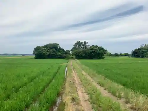 椿神社(千葉県)
