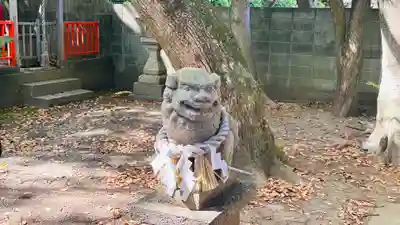 住吉神社の狛犬