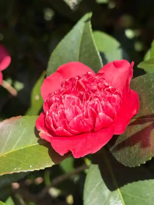 城南宮(京都府)