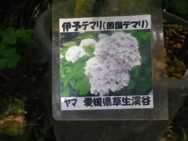 光則寺のその他建物