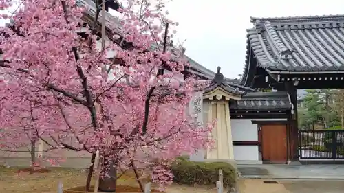 長徳寺の山門・神門