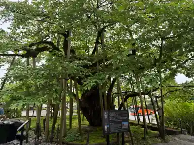 輪王寺(栃木県)