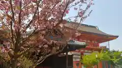 八坂神社(祇園さん)の建物その他