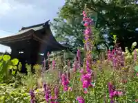 普門寺(切り絵御朱印発祥の寺)の自然