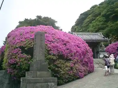 安養院　(田代寺）のその他建物