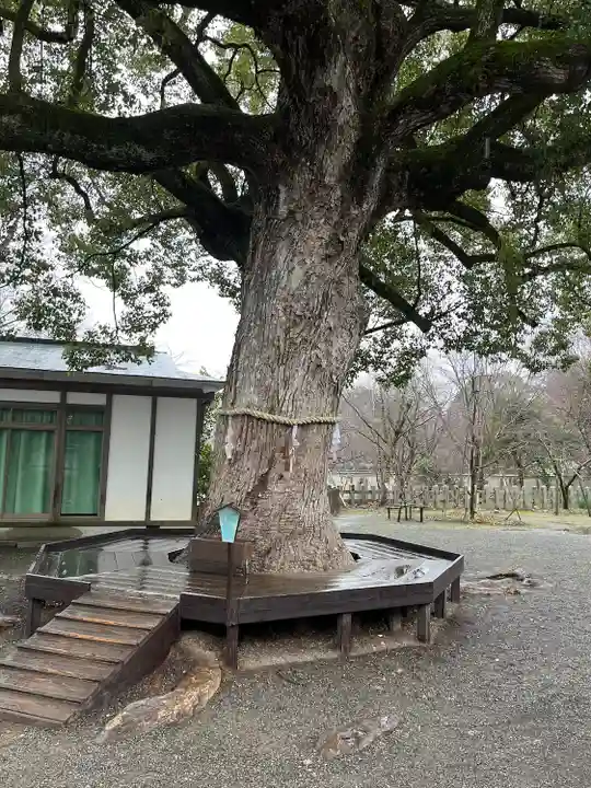 平野神社(京都府)