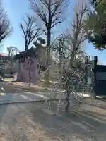 寛永寺(根本中堂)(東京都)