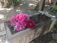 柏諏訪神社の手水舎