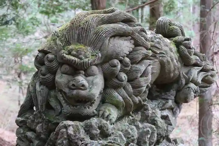 白山比咩神社の狛犬