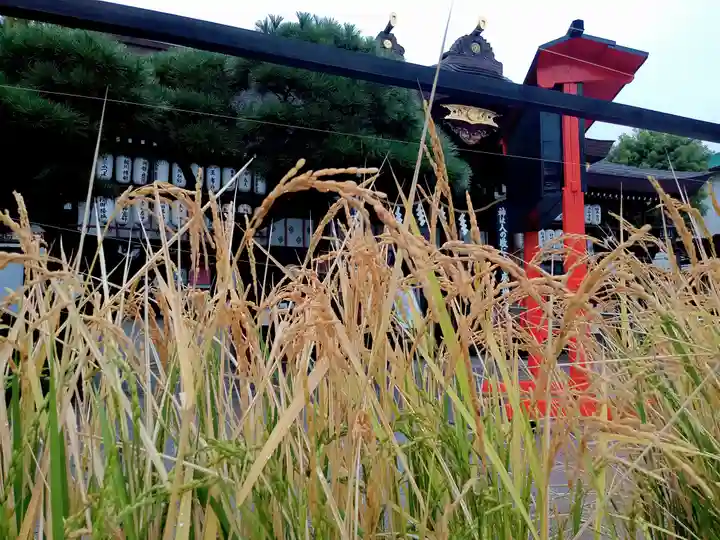 阿部野神社(大阪府)