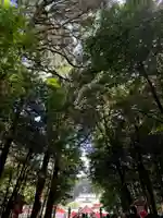 霧島神宮(鹿児島県)