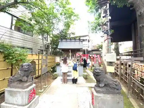 高円寺氷川神社の狛犬