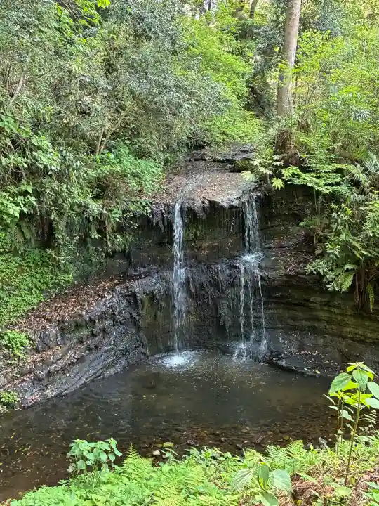 稱名寺(称名寺)の{uncategorized: "未分類", other: "その他", undefined: "問題あり", building: "その他建物", grave: "お墓", sacred_gate: "鳥居", guardian: "狛犬", statue: "像", buddha: "仏像", history: "歴史", nature: "自然", garden: "庭園", animal: "動物", pagoda: "塔", temizu: "手水舎", mountain_gate: "山門・神門", sanctuary: "本殿・本堂", subordinate: "末社・摂社", art: "芸術", scenery: "景色", jizo: "地蔵", ema: "絵馬", goshuin: "御朱印", omikuji: "おみくじ", items: "授与品その他", amulet: "お守り", goshuincho: "御朱印帳", eats: "食事", festival: "お祭り", votive_dance: "神楽", shichigosan: "七五三参", wedding: "結婚式", experience: "体験その他", initially: "初詣", around: "周辺", anti_infection: "感染症対策"}
