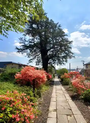 豊景神社の景色