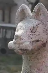 小烏神社の狛犬