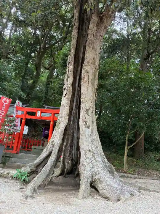 鶏石神社 (香椎宮境内摂社)(福岡県)