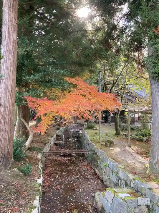 奥石神社(滋賀県)