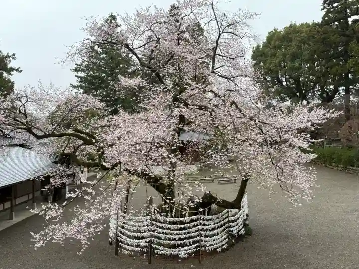 高麗神社(埼玉県)
