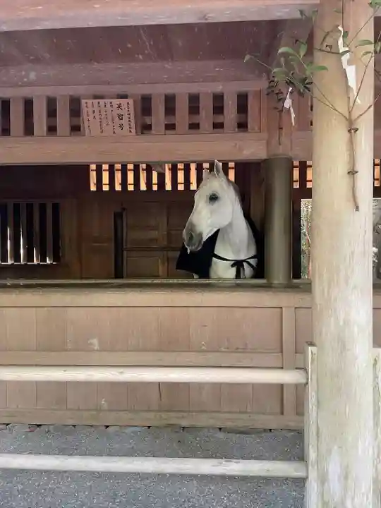 伊勢神宮外宮(豊受大神宮)(三重県)
