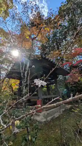 十輪寺(京都府)