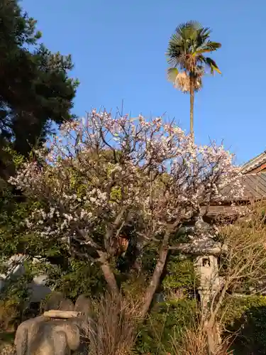 蓮華寺(東京都)