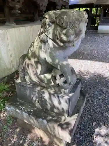 住吉神社の狛犬