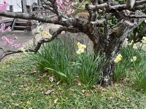 梅香寺(三重県)
