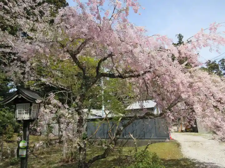 太龍寺(徳島県)