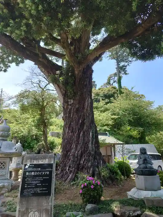 長谷寺(神奈川県)