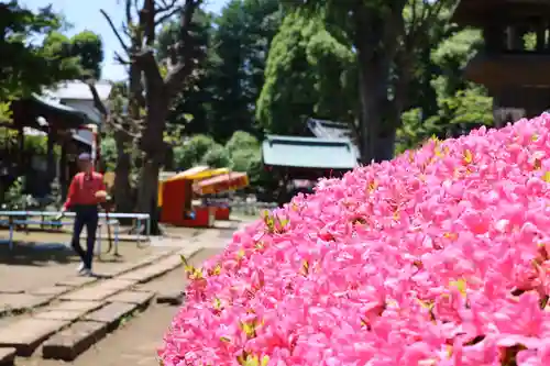 西向天神社(東京都)
