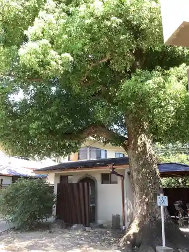 薬師山 林昌寺のその他建物