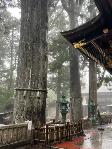 三峯神社(埼玉県)