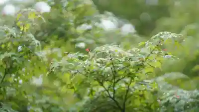 青蓮院門跡(京都府)