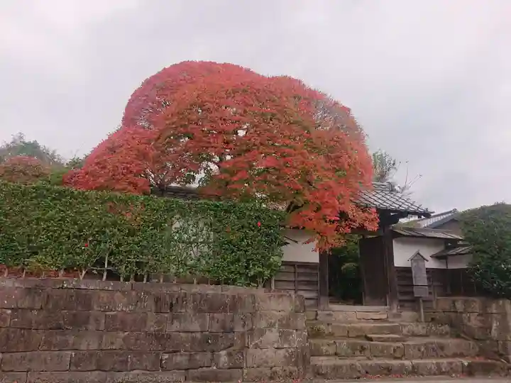 諏訪神社(鹿児島県)