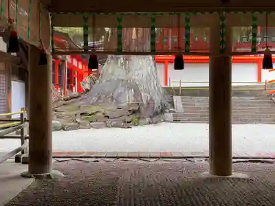 春日大社の本殿・本堂