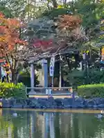 八幡社(愛知県)