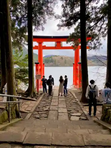 箱根神社の鳥居