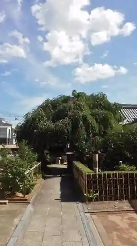 地蔵院（椿寺）の景色