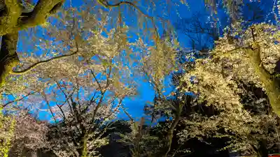 平野神社(京都府)