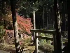 日光大室高龗神社の鳥居