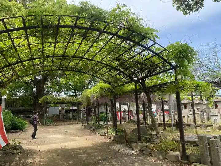 葛井寺の{uncategorized: "未分類", other: "その他", undefined: "問題あり", building: "その他建物", grave: "お墓", sacred_gate: "鳥居", guardian: "狛犬", statue: "像", buddha: "仏像", history: "歴史", nature: "自然", garden: "庭園", animal: "動物", pagoda: "塔", temizu: "手水舎", mountain_gate: "山門・神門", sanctuary: "本殿・本堂", subordinate: "末社・摂社", art: "芸術", scenery: "景色", jizo: "地蔵", ema: "絵馬", goshuin: "御朱印", omikuji: "おみくじ", items: "授与品その他", amulet: "お守り", goshuincho: "御朱印帳", eats: "食事", festival: "お祭り", votive_dance: "神楽", shichigosan: "七五三参", wedding: "結婚式", experience: "体験その他", initially: "初詣", around: "周辺", anti_infection: "感染症対策"}