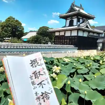 雲龍山 本證寺の御朱印