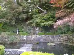 善峯寺(京都府)