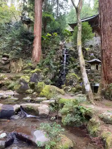 最乗寺（道了尊）の庭園