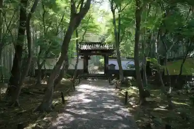 地蔵院(京都府)