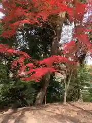 園城寺（三井寺）の自然