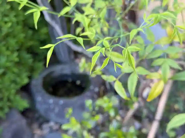 西方山極楽寺(岐阜県)