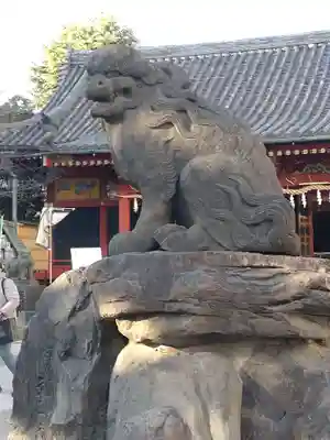 浅草神社の狛犬